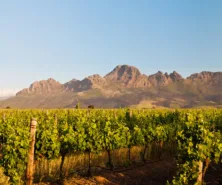 Cape wine region Stellenbosch, day 6 South Africa & Victoria Falls Approach Tour
