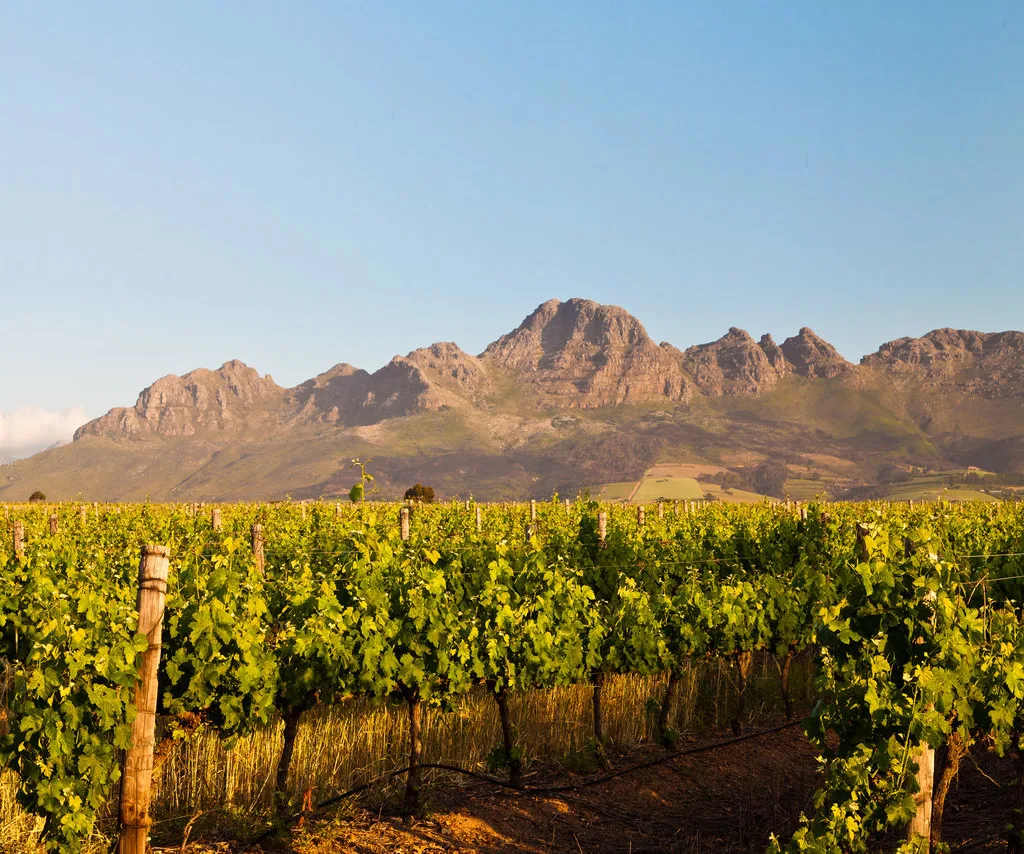 Cape wine region Stellenbosch, day 6 South Africa & Victoria Falls Approach Tour
