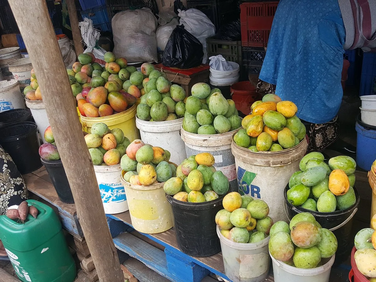 Mangoes in Manzini Market day 9, South Africa & Victoria Falls Approach Tour