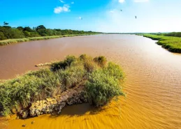 Water and grass in the Saint Lucia Estuary Day 7, South Africa & Victoria Falls Approach Tour