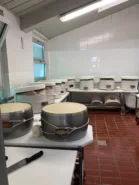 Real traveller photo of parmesan cheese being made