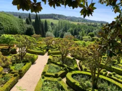 Real traveller photo of Casa Mateus gardens