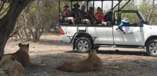 4x4 in front of lions private game reserve Day 12, South Africa & Victoria Falls Approach Tour