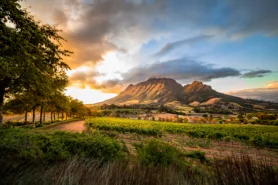 Cape wine region Stellenbosch, day 6 South Africa & Victoria Falls Approach Tour