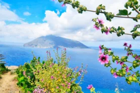 Stromboli Volcano In Bright Sunny Weather With Pink Flowers And