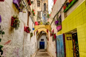 Colourful streets of Fez