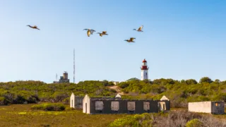 Robben Island Prison Day 3 South Africa & Victoria Falls Tour