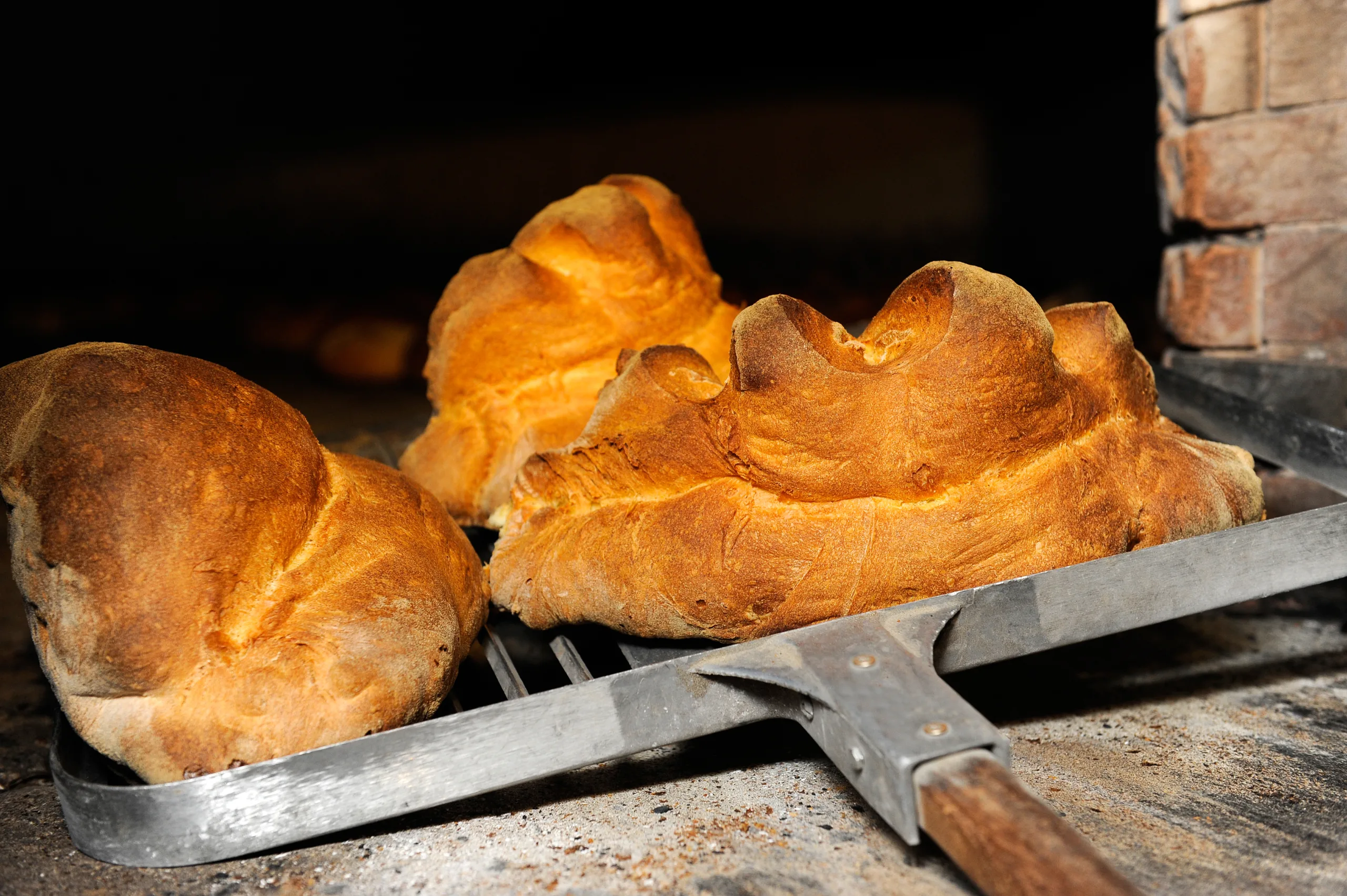 The Bread Of Matera, Pane Di Matera, Has The Shape