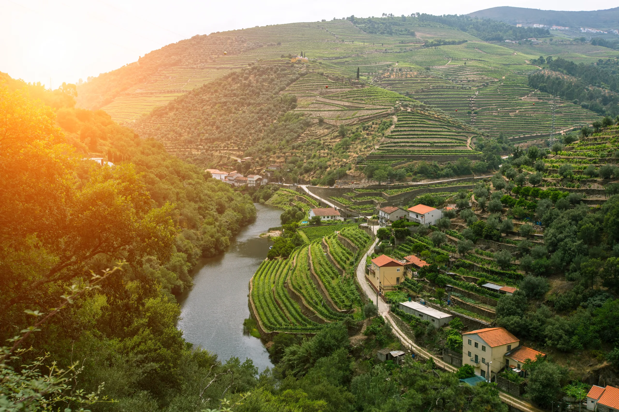 Aerial view of Douro Valley